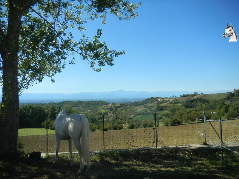 Bossolasco-144.jpg