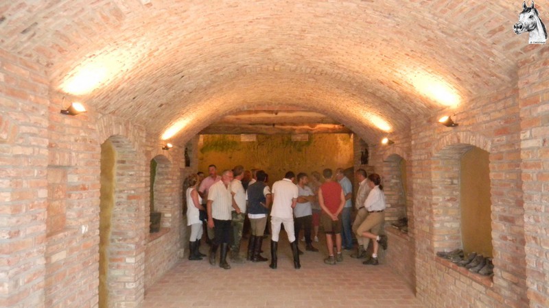 Camerano-055.jpg