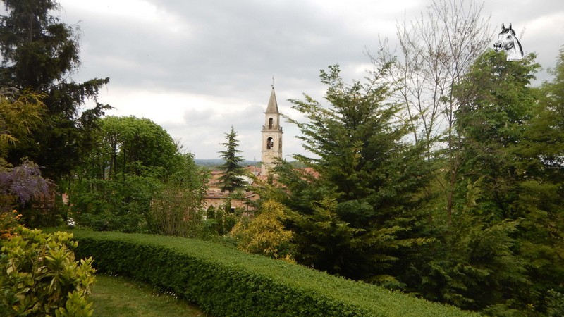 Piea1704-087.jpg