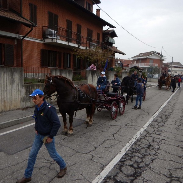 Torino0304-047.jpg