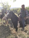 cavallibarbera-002.jpg
