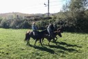 cavallibarbera-090.jpg