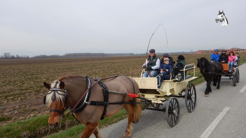 Racconigi071.jpg