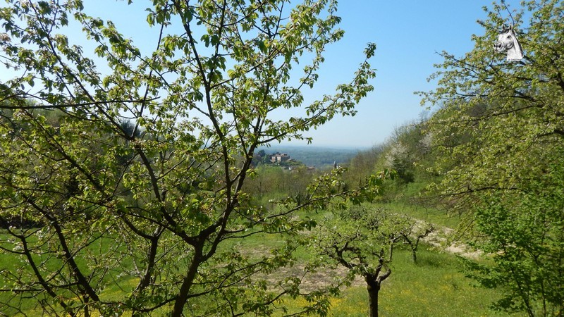 SanGiorgio-014.jpg