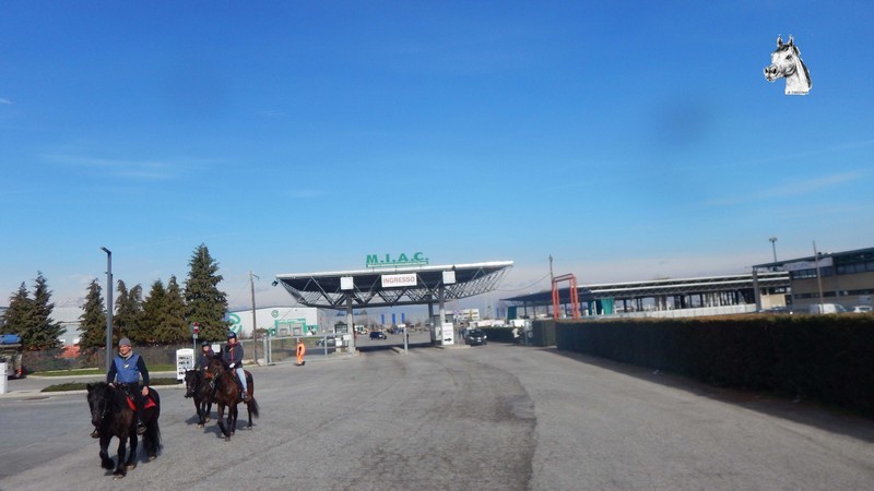 01_Cuneo-145.jpg