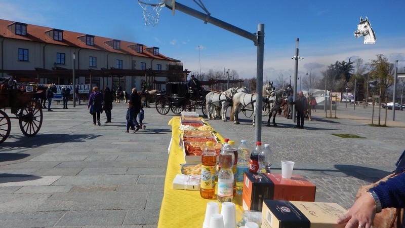 01_Cuneo-216.jpg