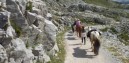 04_Monesi-033.jpg