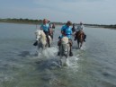 Camargue